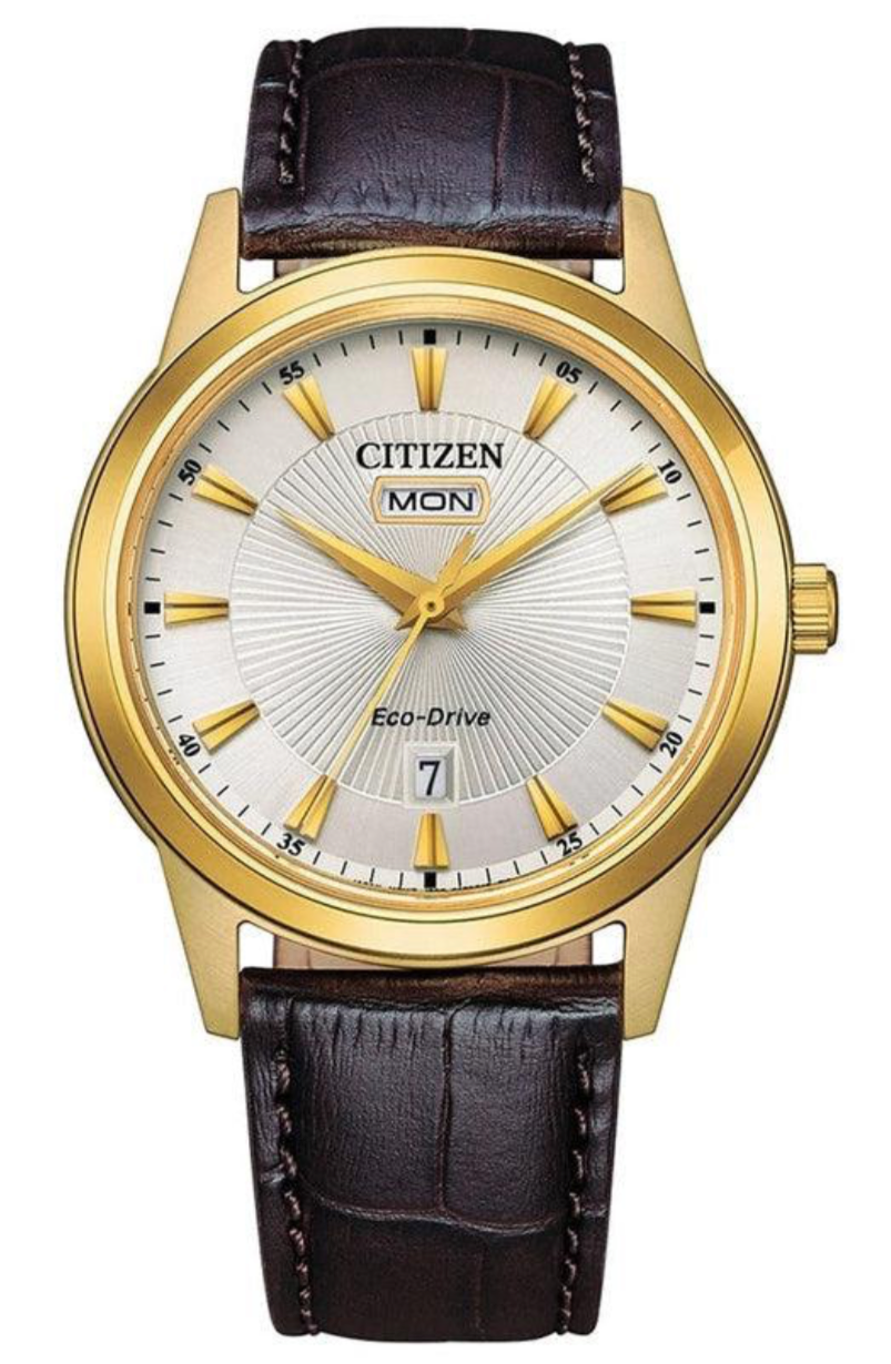 Citizen eco drive leather strap