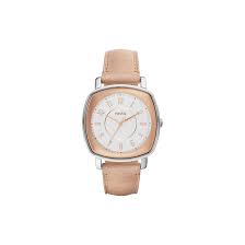 Fossil Idealist